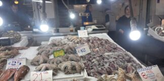 varvakeios5542 1200x630.jpeg