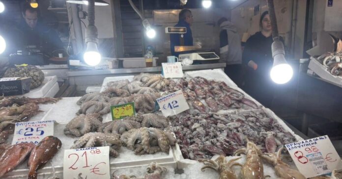 varvakeios5542 1200x630.jpeg varvakeios5542 1200x630.jpeg