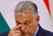 victor orban 12022026 1200x630.jpg
