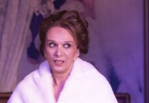 vidali ndp 1200x630.jpg