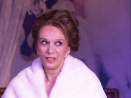 vidali ndp 1200x630.jpg