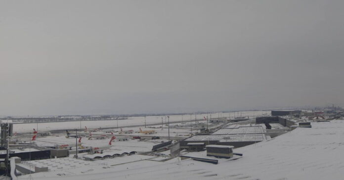 vienni 1200x630.jpg vienni 1200x630.jpg