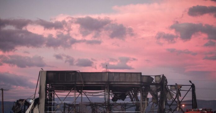 violanta 1 1200x630.jpg