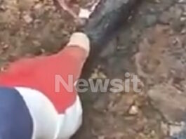 violanta 100 1200x630.jpg