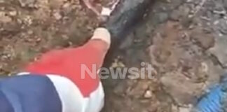 violanta 100 1200x630.jpg