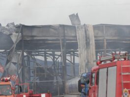 violanta 2 1 1200x630.jpg