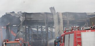 violanta 2 1 1200x630.jpg