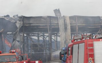 violanta 2 1 1200x630.jpg