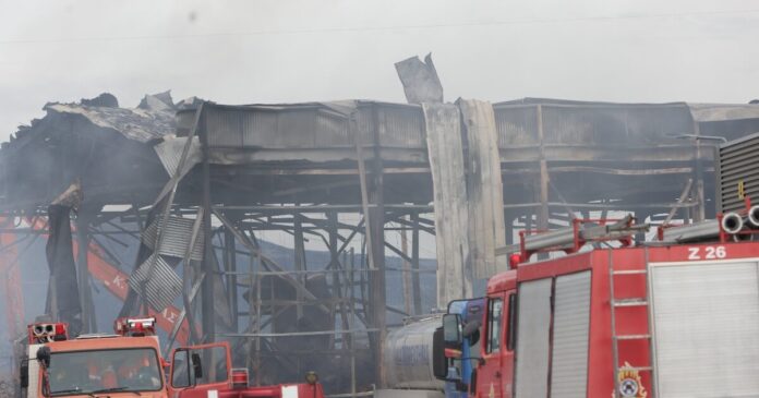 violanta 2 1 1200x630.jpg