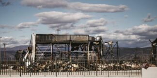 violanta 2 1200x630.jpg