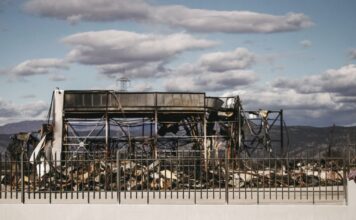 violanta 2 1200x630.jpg