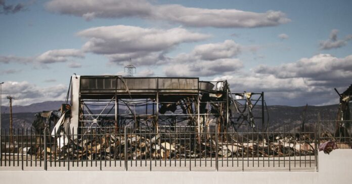 violanta 2 1200x630.jpg