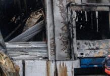 violanta 2 3 1200x630.jpg