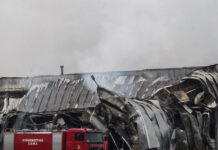 violanta 4 1200x630.jpg