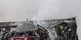 violanta 4 1200x630.jpg