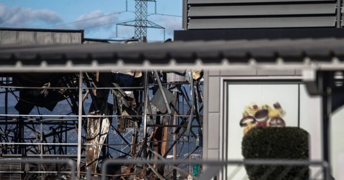 violanta 5 1 1200x630.jpg