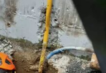 violanta 5 1200x630.jpg