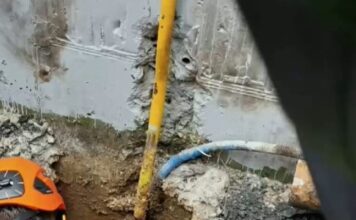 violanta 5 1200x630.jpg