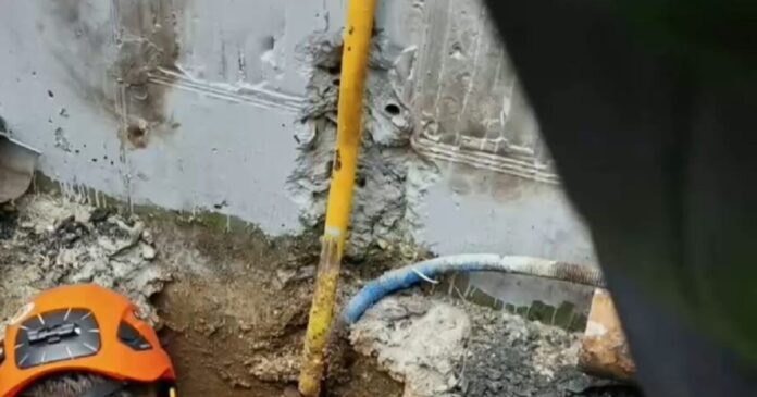 violanta 5 1200x630.jpg