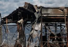 violanta 6 1 1200x630.jpg