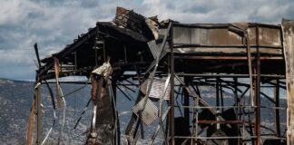 violanta 6 1 1200x630.jpg