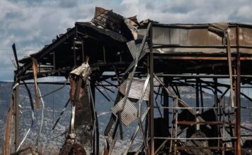 violanta 6 1 1200x630.jpg