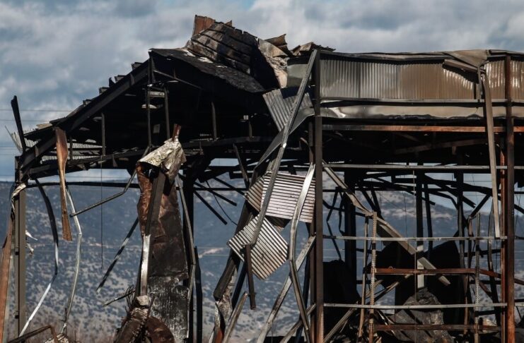 violanta 6 1 1200x630.jpg