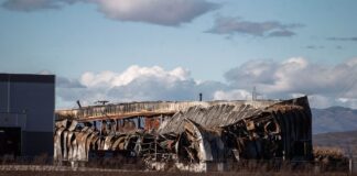 violanta 6 1200x630.jpg