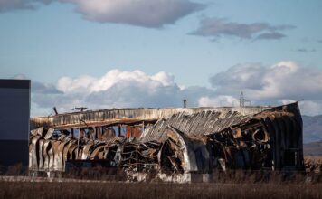 violanta 6 1200x630.jpg