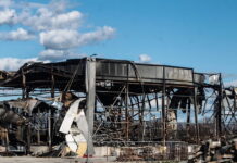 violanta 7 1200x630.jpg