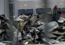 violanta 8 1 1200x630.jpg