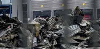 violanta 8 1 1200x630.jpg