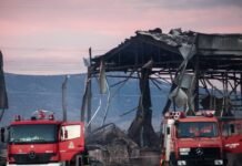 violanta 9 1 1200x630.jpg