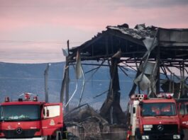 violanta 9 1 1200x630.jpg