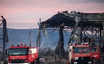 violanta 9 1 1200x630.jpg