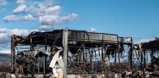 violanta ergostasio 4 1200x630.jpg