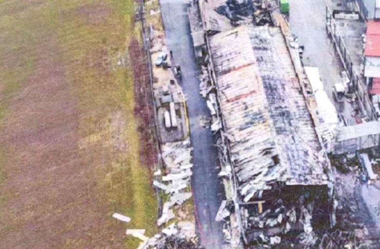 violanta porisma 1200x630.jpg