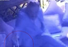 vretania 1200x630.jpg