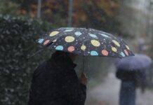 vroxi 2 1200x675 1 1200x630.jpg