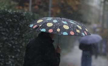 vroxi 2 1200x675 1 1200x630.jpg