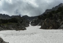 xionia 1 1200x630.jpg