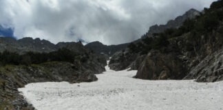 xionia 1 1200x630.jpg