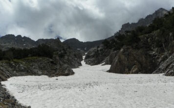 xionia 1 1200x630.jpg