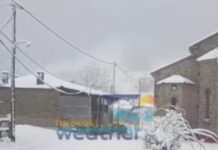 xionia6 1200x630.jpg