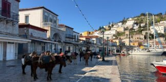 ydra13 1200x630.jpeg