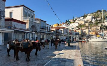 ydra13 1200x630.jpeg