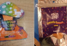 zeledakia 1200x630.jpg