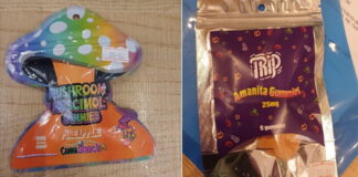 zeledakia 1200x630.jpg