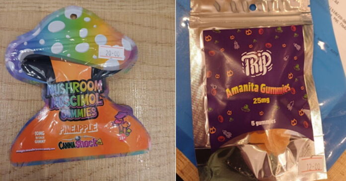 zeledakia 1200x630.jpg