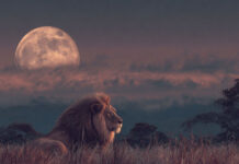 Τα ζώδια που θα έχουν απρόσμενες εξελίξεις την πρώτη εβδομάδα του Φεβρουαρίου zodiaevdo.jpg